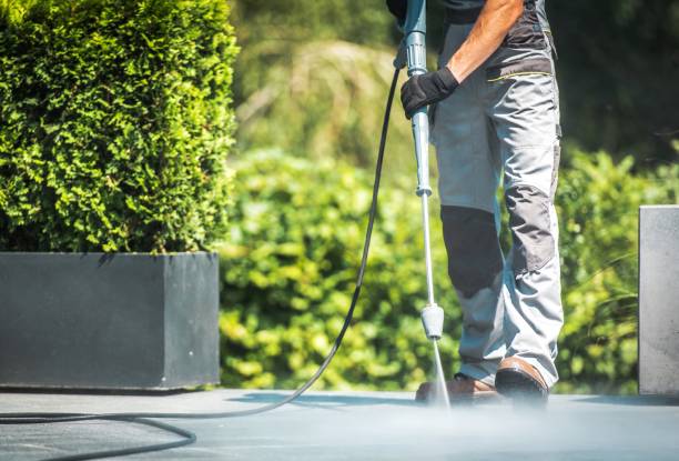 Animal Enclosure Cleaning in West, TX
